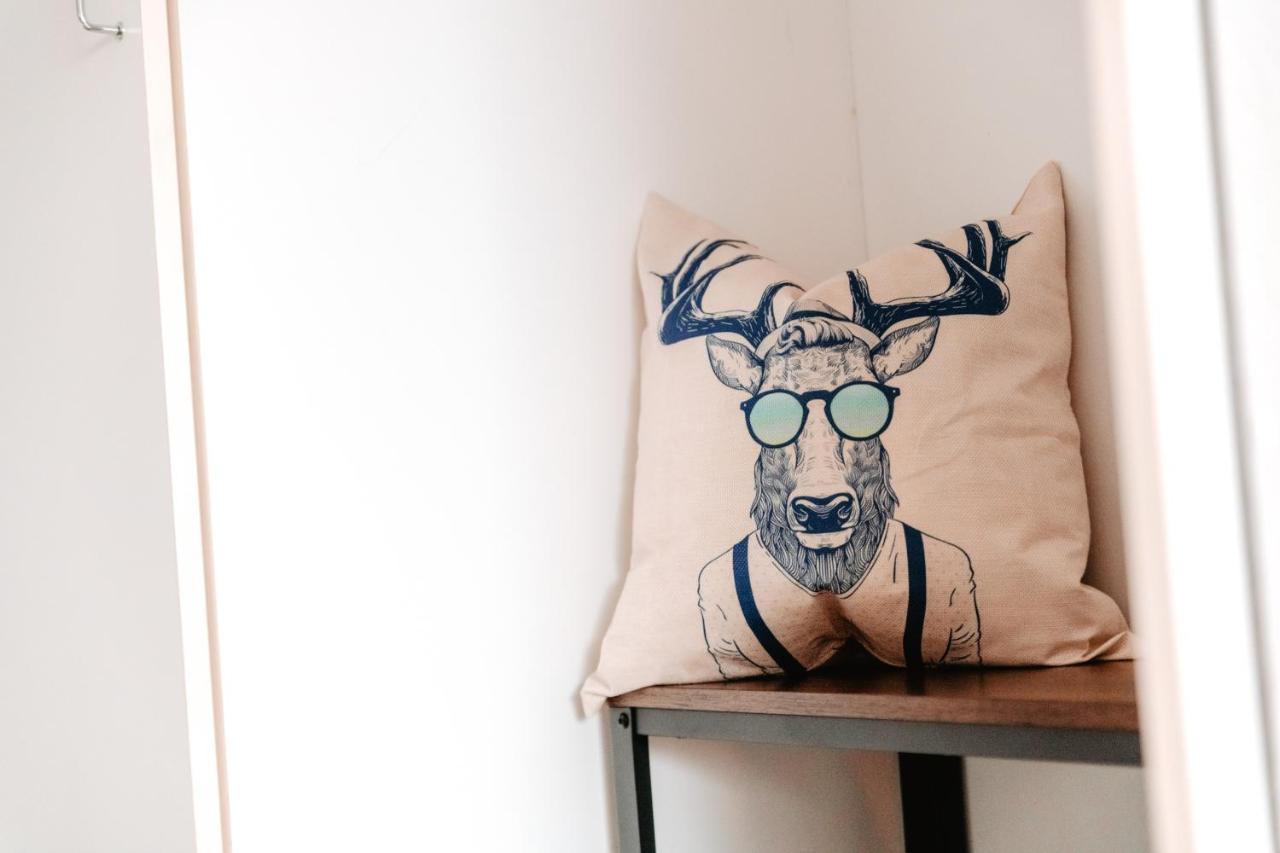 Cozystay - Gemuetliche Wohnung Im Oberharz Sankt Andreasberg Zewnętrze zdjęcie